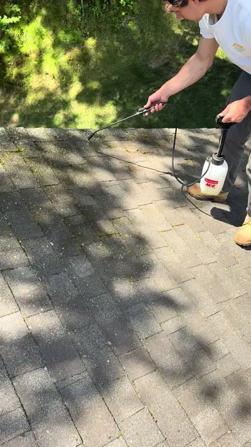 TikTok video: Roof cleaning service